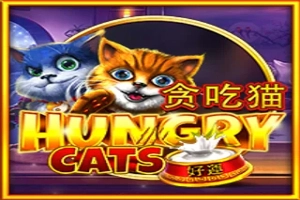 Hungry Cats pokie