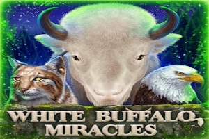 White Buffalo Miracles pokie