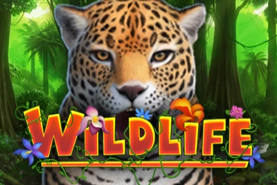 Wildlife pokie