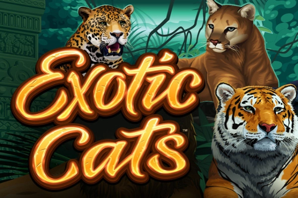 Exotic Cats pokie