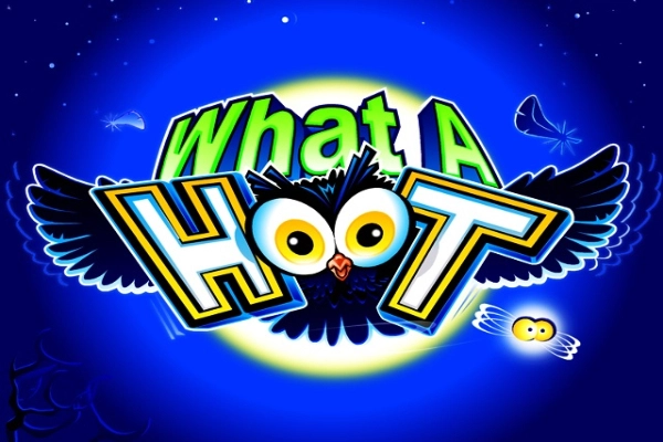 What A Hoot pokie