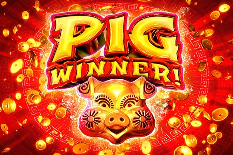 Pig Winner pokie