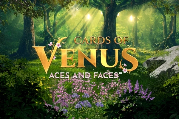 Cards of Venus Aces and Faces pokie