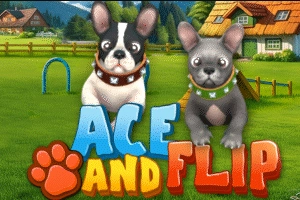 Ace and Flip pokie