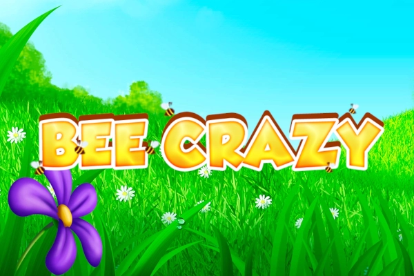 Bee Crazy pokie